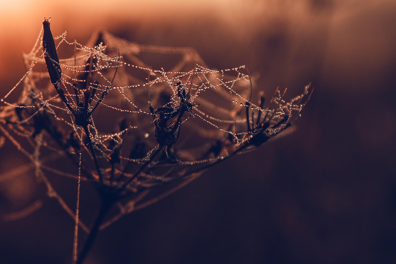 agence web spécialisée dans la création de sites internet, le développement sur mesure et le marketing digital pour booster votre présence en ligne.