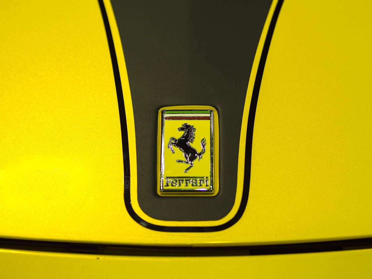 découvrez notre marque de sport alliant performance, style et innovation pour tous les passionnés d'activités physiques.