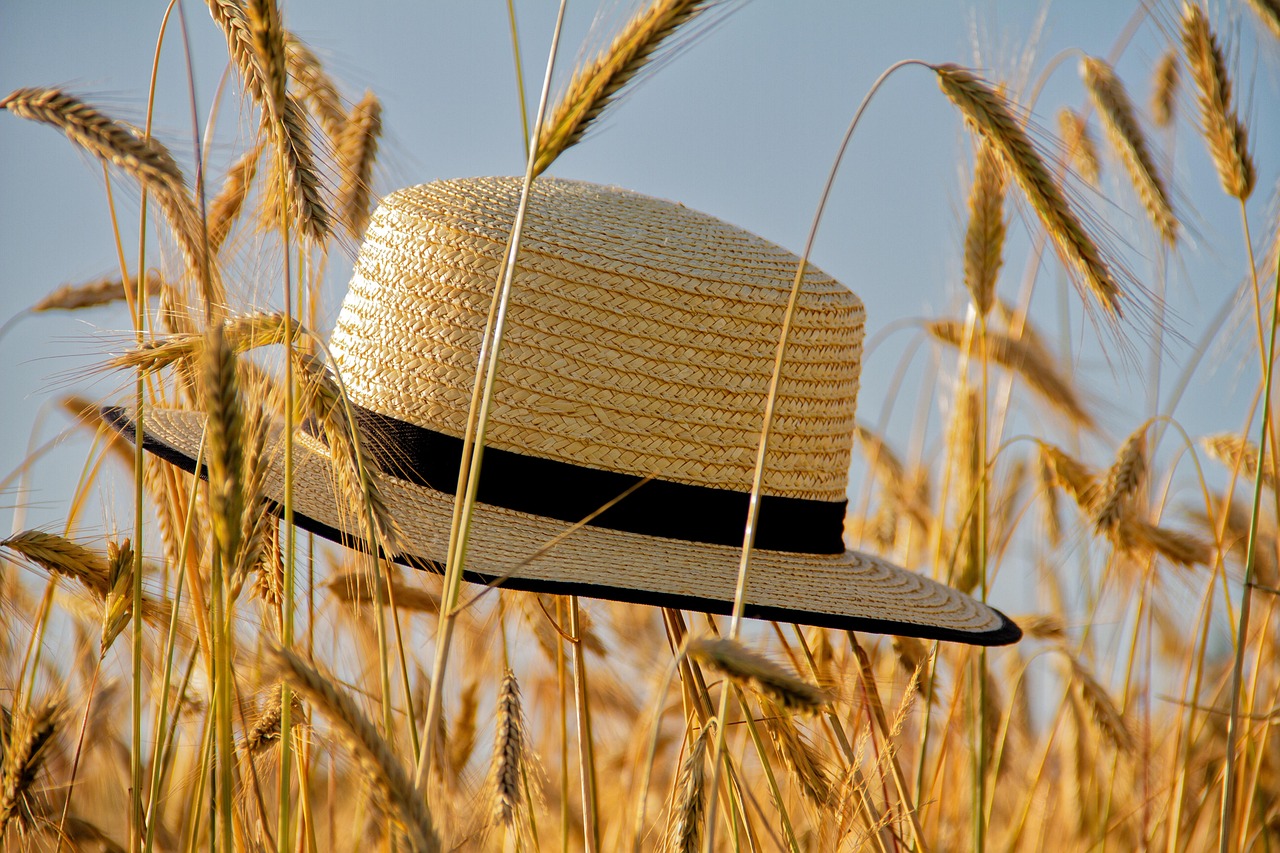 découvrez les techniques de black hat seo : méthodes non éthiques pour améliorer le référencement, leurs risques et alternatives légales pour optimiser votre site.