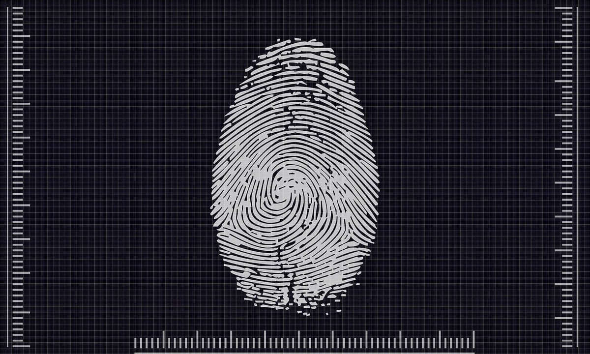 Comment s’identifier dans les AI Overviews : Analyse chiffrée révélatrice