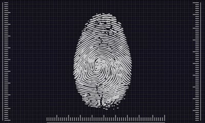 Comment s’identifier dans les AI Overviews : Analyse chiffrée révélatrice