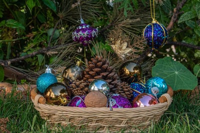 Combien de temps à l’avance réserver les paniers gourmands de Noël pour les CE en 2025 ?