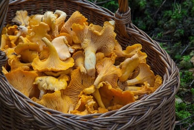 Quels critères considérer pour choisir le panier gourmand idéal pour Noël en comité d’entreprise ?
