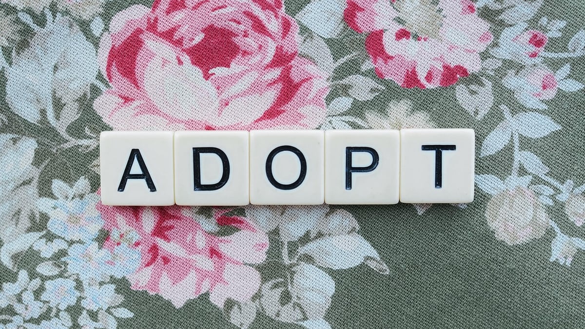 découverte du programme canadien d’adoption du numérique