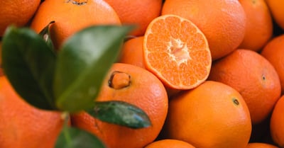 Segmentation de marché : comprendre l’importance d’une stratégie ciblée